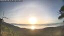 ./images/calvert/fitz-hugh-hecate/20260503/fitz-hugh-hecate20260503_064502M.jpg