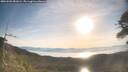 ./images/calvert/fitz-hugh-hecate/20260503/fitz-hugh-hecate20260503_081001M.jpg