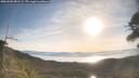 ./images/calvert/fitz-hugh-hecate/20260503/fitz-hugh-hecate20260503_081502M.jpg
