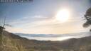 ./images/calvert/fitz-hugh-hecate/20260503/fitz-hugh-hecate20260503_083001M.jpg