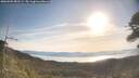 ./images/calvert/fitz-hugh-hecate/20260503/fitz-hugh-hecate20260503_083501M.jpg