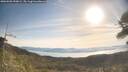 ./images/calvert/fitz-hugh-hecate/20260503/fitz-hugh-hecate20260503_090001M.jpg