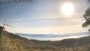 ./images/calvert/fitz-hugh-hecate/20260503/fitz-hugh-hecate20260503_091001M.jpg