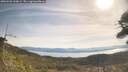 ./images/calvert/fitz-hugh-hecate/20260503/fitz-hugh-hecate20260503_100001M.jpg