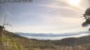 ./images/calvert/fitz-hugh-hecate/20260503/fitz-hugh-hecate20260503_101001M.jpg