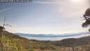 ./images/calvert/fitz-hugh-hecate/20260503/fitz-hugh-hecate20260503_104001M.jpg