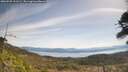 ./images/calvert/fitz-hugh-hecate/20260503/fitz-hugh-hecate20260503_111502M.jpg