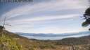 ./images/calvert/fitz-hugh-hecate/20260503/fitz-hugh-hecate20260503_113001M.jpg