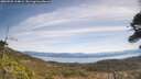 ./images/calvert/fitz-hugh-hecate/20260503/fitz-hugh-hecate20260503_114001M.jpg