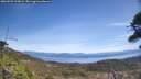 ./images/calvert/fitz-hugh-hecate/20260503/fitz-hugh-hecate20260503_123001M.jpg