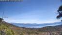 ./images/calvert/fitz-hugh-hecate/20260503/fitz-hugh-hecate20260503_123501M.jpg