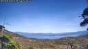 ./images/calvert/fitz-hugh-hecate/20260503/fitz-hugh-hecate20260503_151501M.jpg