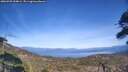 ./images/calvert/fitz-hugh-hecate/20260503/fitz-hugh-hecate20260503_154001M.jpg