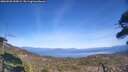 ./images/calvert/fitz-hugh-hecate/20260503/fitz-hugh-hecate20260503_155002M.jpg