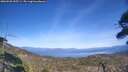 ./images/calvert/fitz-hugh-hecate/20260503/fitz-hugh-hecate20260503_155501M.jpg