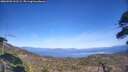./images/calvert/fitz-hugh-hecate/20260503/fitz-hugh-hecate20260503_161501M.jpg