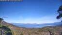 ./images/calvert/fitz-hugh-hecate/20260503/fitz-hugh-hecate20260503_162002M.jpg
