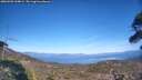 ./images/calvert/fitz-hugh-hecate/20260503/fitz-hugh-hecate20260503_164002M.jpg
