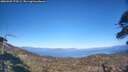 ./images/calvert/fitz-hugh-hecate/20260503/fitz-hugh-hecate20260503_173501M.jpg