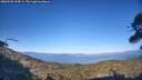./images/calvert/fitz-hugh-hecate/20260503/fitz-hugh-hecate20260503_190001M.jpg