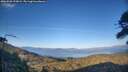 ./images/calvert/fitz-hugh-hecate/20260503/fitz-hugh-hecate20260503_193001M.jpg