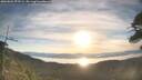 ./images/calvert/fitz-hugh-hecate/20260504/fitz-hugh-hecate20260504_072501M.jpg