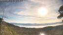 ./images/calvert/fitz-hugh-hecate/20260504/fitz-hugh-hecate20260504_082001M.jpg