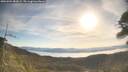 ./images/calvert/fitz-hugh-hecate/20260504/fitz-hugh-hecate20260504_083002M.jpg