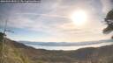 ./images/calvert/fitz-hugh-hecate/20260504/fitz-hugh-hecate20260504_083501M.jpg
