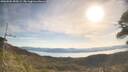./images/calvert/fitz-hugh-hecate/20260504/fitz-hugh-hecate20260504_090501M.jpg