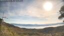 ./images/calvert/fitz-hugh-hecate/20260504/fitz-hugh-hecate20260504_091001M.jpg