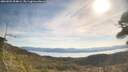 ./images/calvert/fitz-hugh-hecate/20260504/fitz-hugh-hecate20260504_094001M.jpg