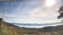 ./images/calvert/fitz-hugh-hecate/20260504/fitz-hugh-hecate20260504_094501M.jpg
