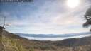 ./images/calvert/fitz-hugh-hecate/20260504/fitz-hugh-hecate20260504_095002M.jpg