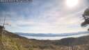 ./images/calvert/fitz-hugh-hecate/20260504/fitz-hugh-hecate20260504_095501M.jpg