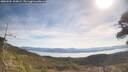 ./images/calvert/fitz-hugh-hecate/20260504/fitz-hugh-hecate20260504_100001M.jpg