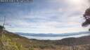 ./images/calvert/fitz-hugh-hecate/20260504/fitz-hugh-hecate20260504_104001M.jpg