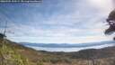 ./images/calvert/fitz-hugh-hecate/20260504/fitz-hugh-hecate20260504_104501M.jpg