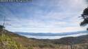 ./images/calvert/fitz-hugh-hecate/20260504/fitz-hugh-hecate20260504_105001M.jpg