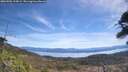 ./images/calvert/fitz-hugh-hecate/20260504/fitz-hugh-hecate20260504_114502M.jpg