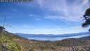 ./images/calvert/fitz-hugh-hecate/20260504/fitz-hugh-hecate20260504_125501M.jpg