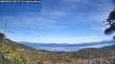 ./images/calvert/fitz-hugh-hecate/20260504/fitz-hugh-hecate20260504_132501M.jpg