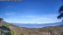 ./images/calvert/fitz-hugh-hecate/20260504/fitz-hugh-hecate20260504_153002M.jpg