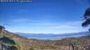 ./images/calvert/fitz-hugh-hecate/20260504/fitz-hugh-hecate20260504_153501M.jpg