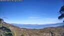 ./images/calvert/fitz-hugh-hecate/20260504/fitz-hugh-hecate20260504_160501M.jpg