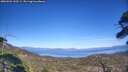./images/calvert/fitz-hugh-hecate/20260504/fitz-hugh-hecate20260504_162501M.jpg