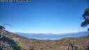 ./images/calvert/fitz-hugh-hecate/20260504/fitz-hugh-hecate20260504_180501M.jpg
