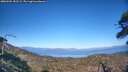 ./images/calvert/fitz-hugh-hecate/20260504/fitz-hugh-hecate20260504_181502M.jpg