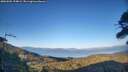 ./images/calvert/fitz-hugh-hecate/20260504/fitz-hugh-hecate20260504_194001M.jpg