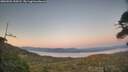 ./images/calvert/fitz-hugh-hecate/20260504/fitz-hugh-hecate20260504_210501M.jpg